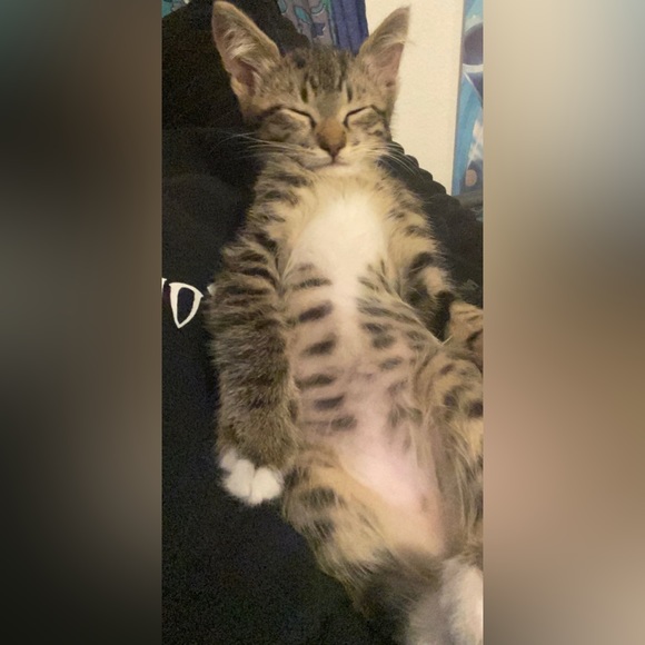 freddy - Picture 15 of 16